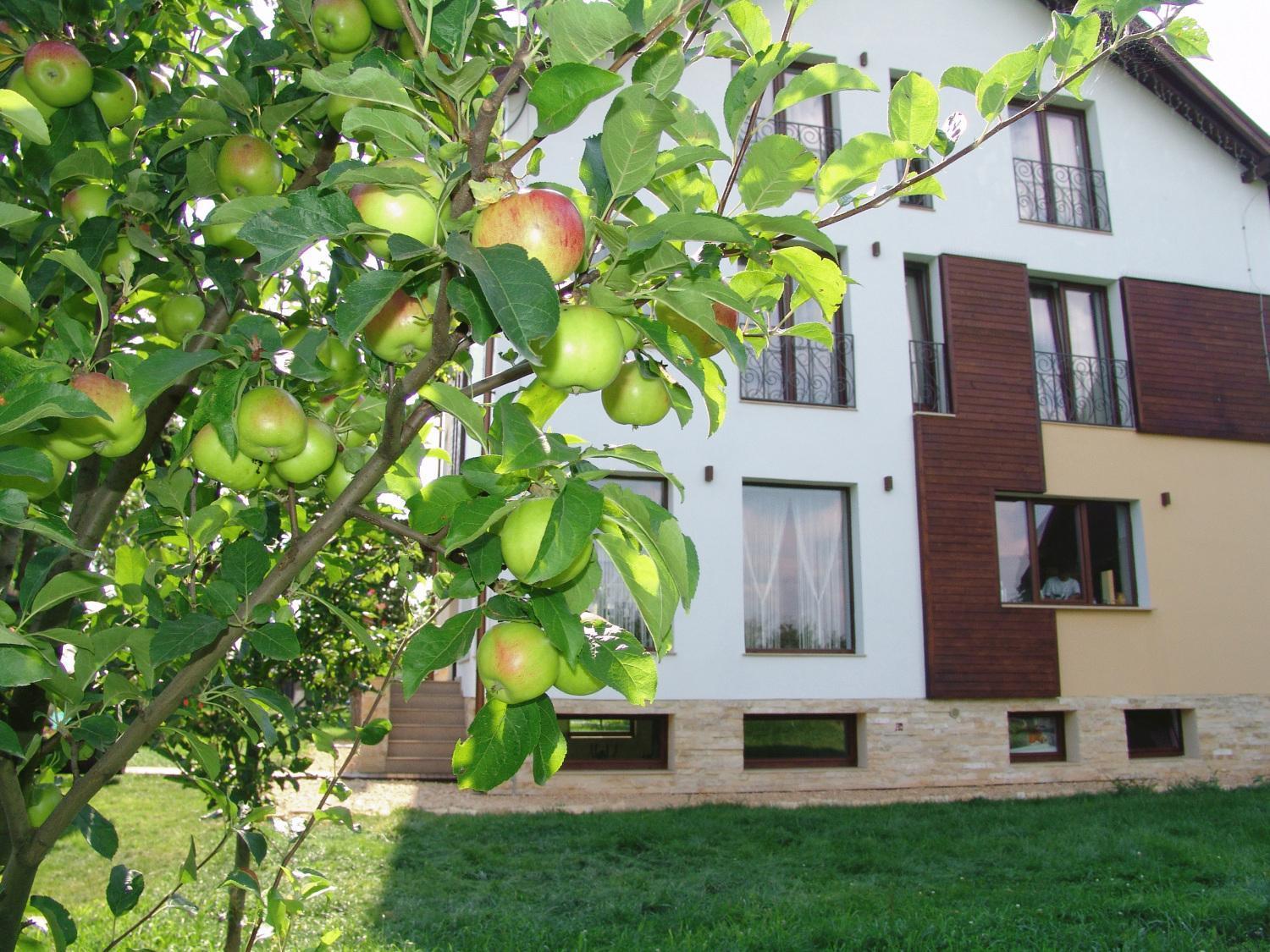Hotel Stupina Braşov Exterior foto