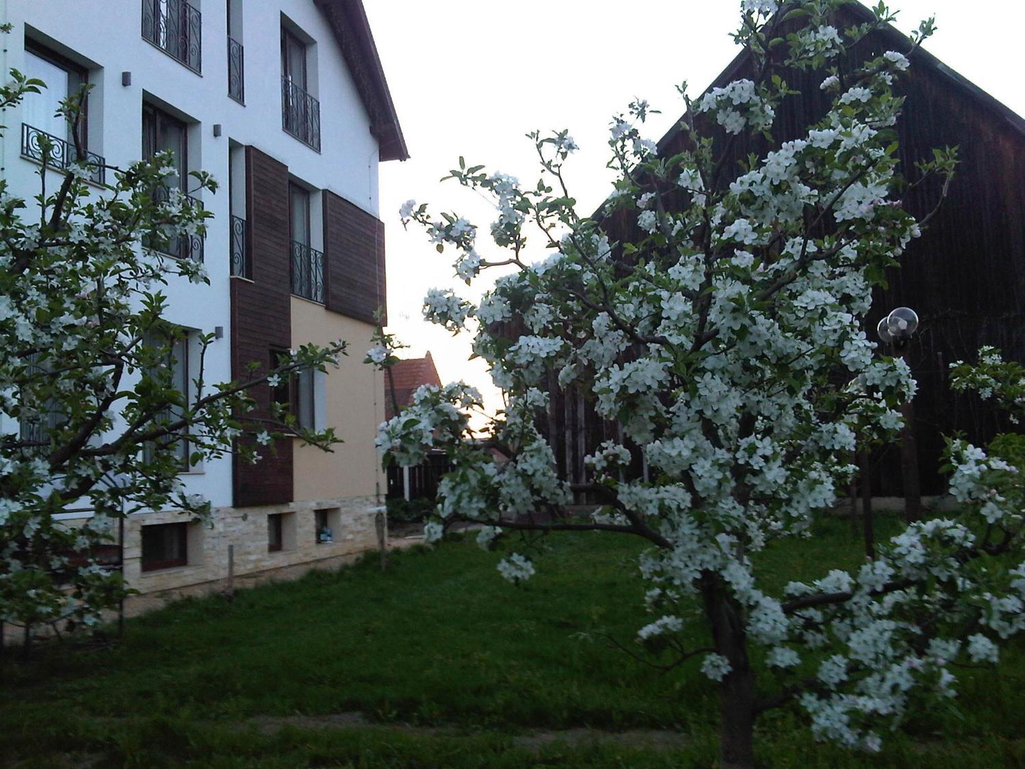 Hotel Stupina Braşov Exterior foto