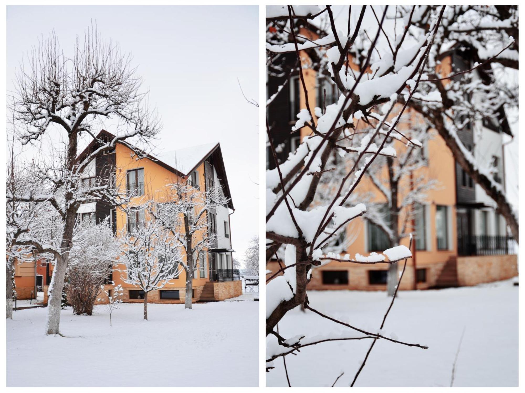 Hotel Stupina Braşov Exterior foto